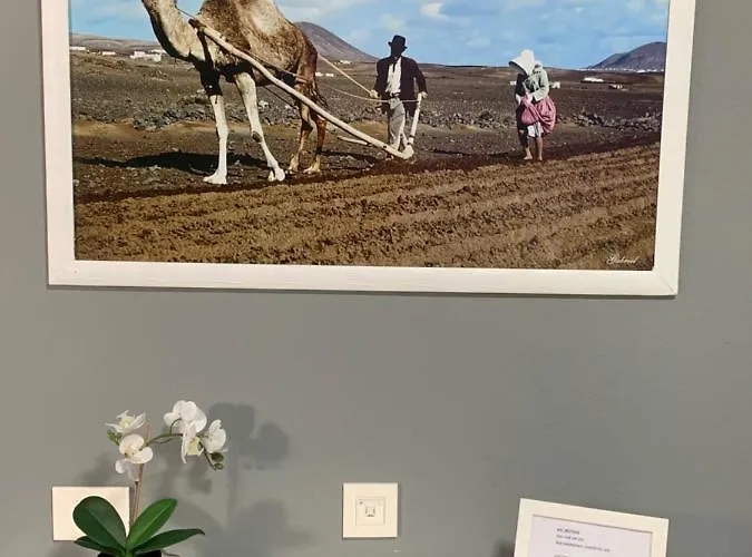 Relax Tinosa Apartament *